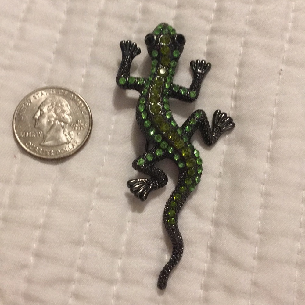 Costume brooch